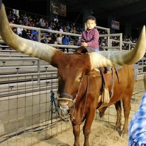 Meet your Posher, Nelly